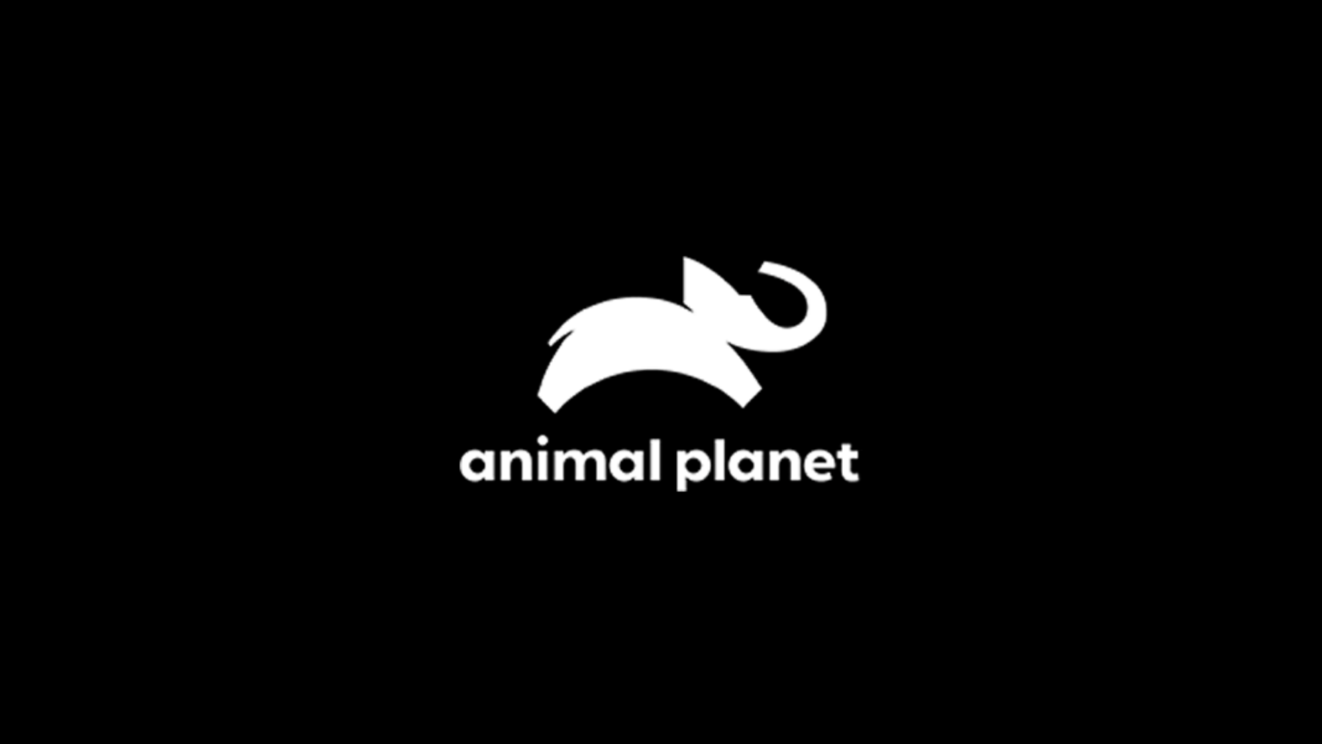 Animal Planet ao vivo,Animal Planet online,assistir Animal Planet,assistir Animal Planet ao vivo,assistir Animal Planet online,Animal Planet gratis,assistir Animal Planet gratis,ao vivo online,ao vivo gratis,ver Animal Planet,ver Animal Planet ao vivo,ver Animal Planet online,24 horas,24h,multicanais,piratetv,futtemax.tv