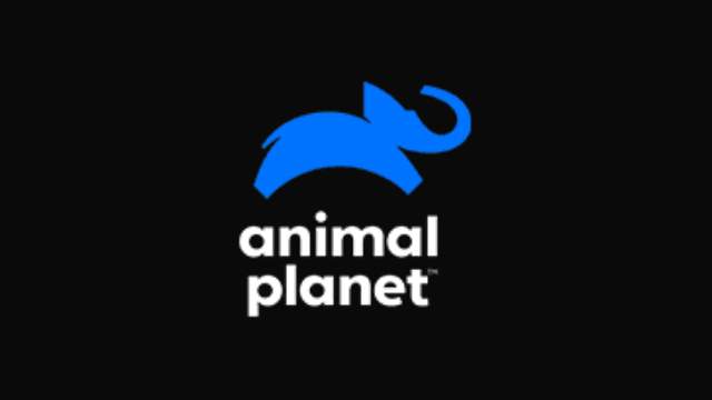 Assistir ANIMAL PLANET ao vivo 24 horas HD online